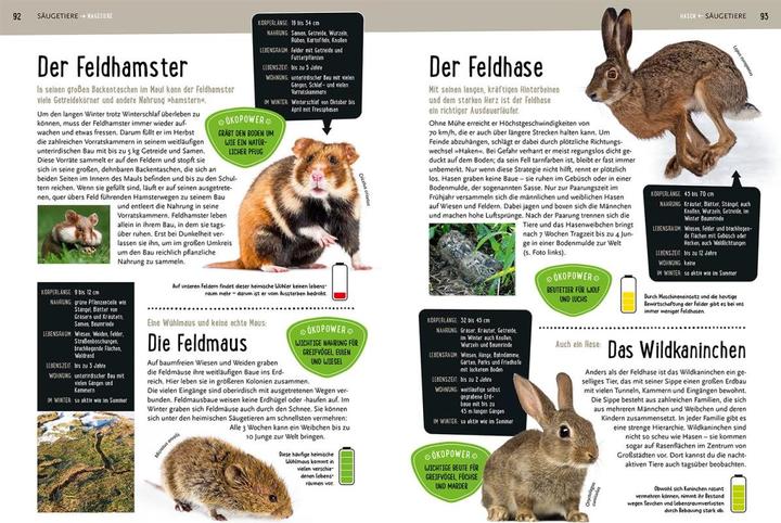 Actual product image Kosmos Mein Kosmos-Buch Natur (German, Bärbel Oftring, 2023)
