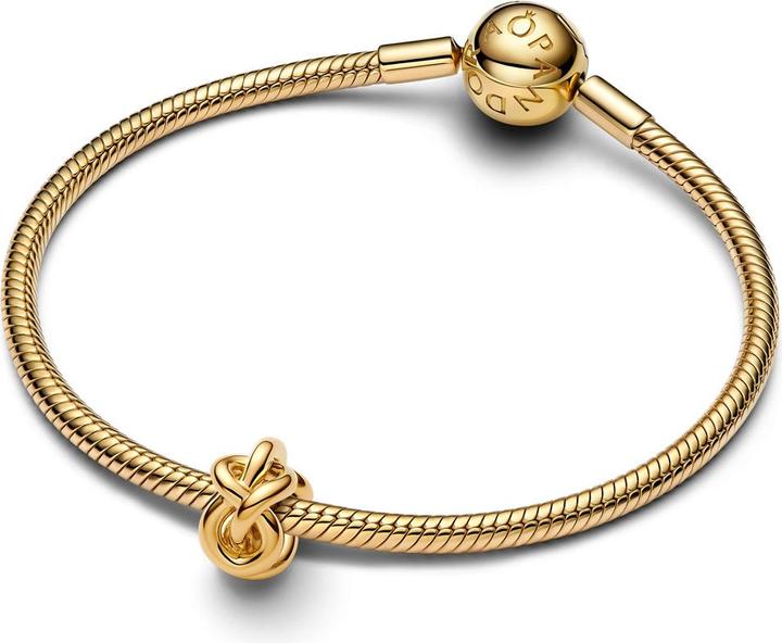 Image du produit Pandora Charme Noeud Infini (Métal)