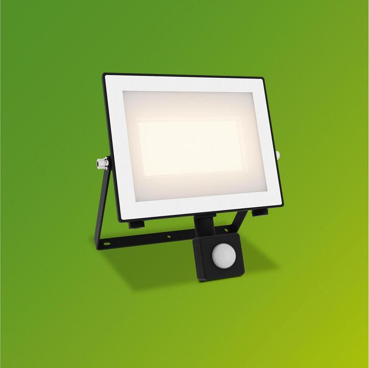 Image du produit Philips Outdoor Flutlicht Lois (4500 lm, IP65)