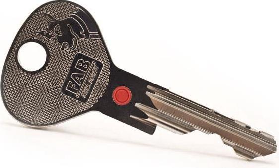 Assa Abloy BLANK KEY 200RS RRS1 FA207GG074.1000