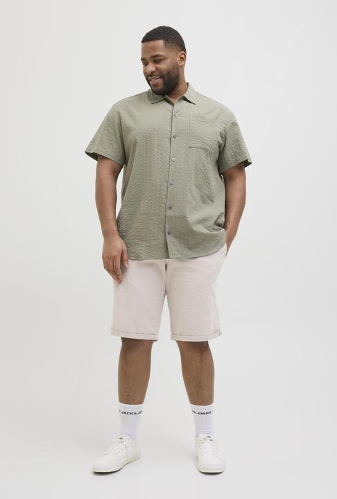 Actual product image Jack & Jones Plus Size Regular Fit Slim Fit Shorts Slim Fit Shorts (42)