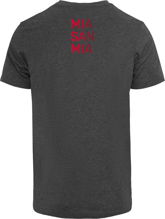 Actual product image FC Bayern München MSM GR T-Shirt Round Neck - 115647 (XS)