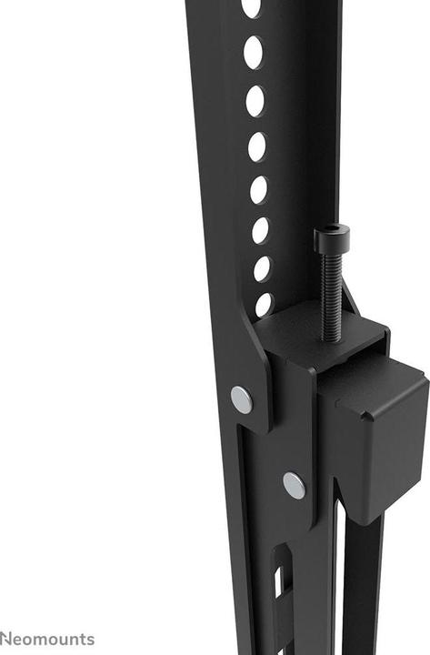 Actual product image Neomounts Select Screen Wall Mount (fixe (Wall, 110", 160 kg)