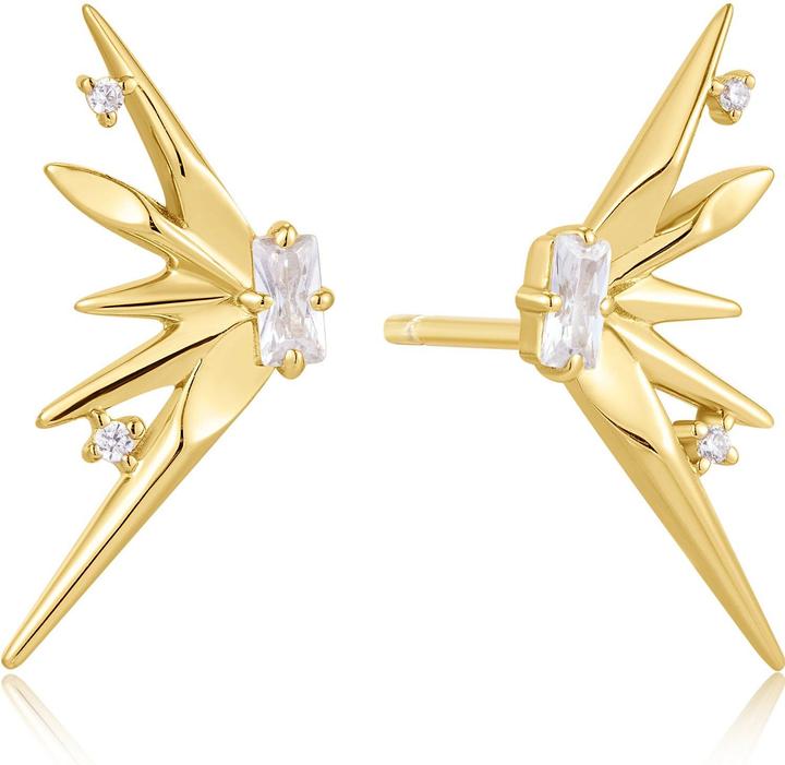 Immagine prodotto Ania Haie Ohrstecker Polished Punk (Argento 925)