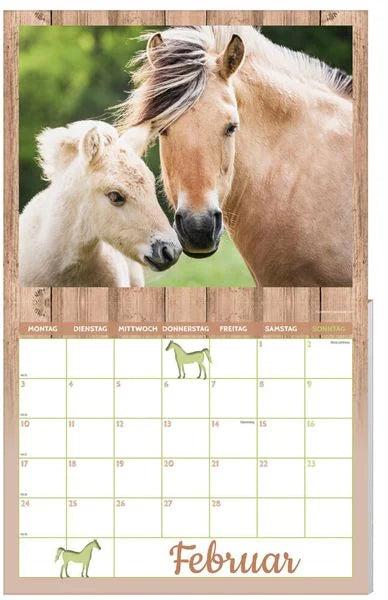 Image du produit Pack calendrier cheval 2025, 9 pièces (Allemand)