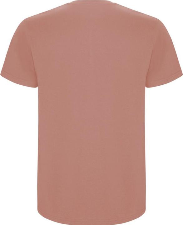 Actual product image Alpinia Mens Stafford T-Shirt (XXL)