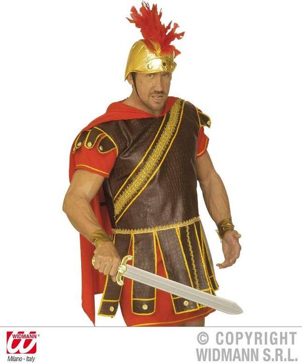 Actual product image Widmann Roman sword