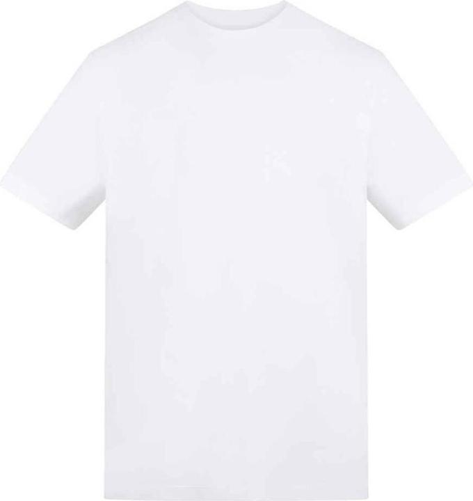 Arktisch Weiss