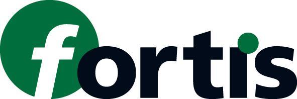 Produktbild Magni Fortis Blindnietmutter a 50Stk.M5x11,5mm (50 Stk.)