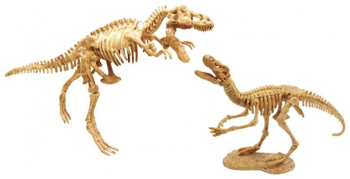 Actual product image Buki Dino Dig