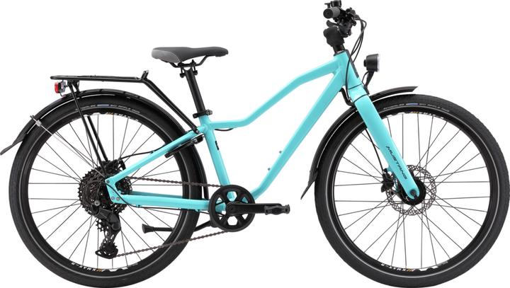 Actual product image Mustang Velo Appaloosa 1.0 (24")