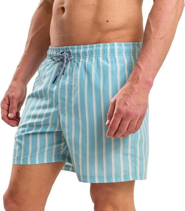 Immagine prodotto Ript Essentials Costume da Bagno a Pantaloncino Strisce Uomo (L)