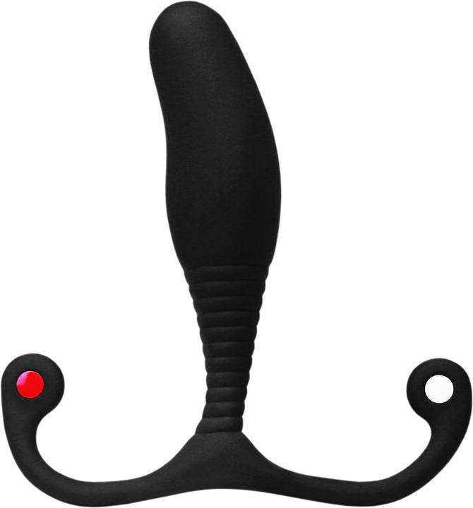 Aneros Prostate Massager
