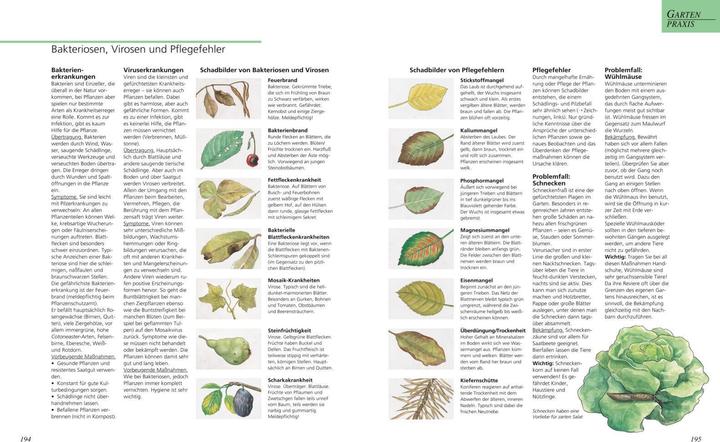 Produktbild Das grosse Gartenbuch (Deutsch, Jürgen Becker, 2016)
