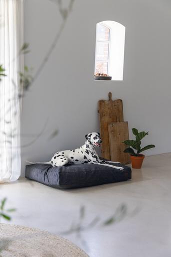 Produktbild Designed by Lotte Liegekissen (Hund)