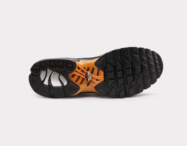 Image du produit Nike Air Max Plus (44)