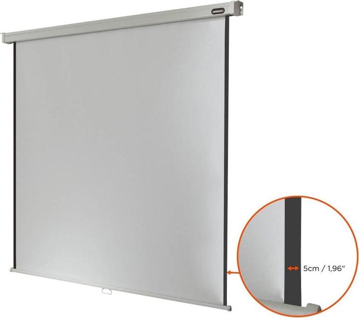 Produktbild Celexon Rollo Professional, Leinwand, 1:1 (150.39", 1:1)