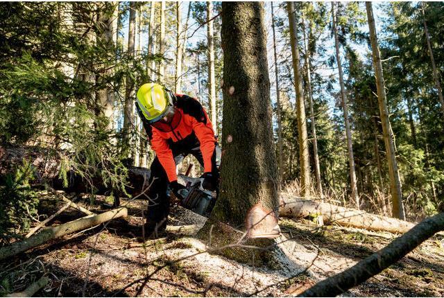 Actual product image Metabo MS 36-18 LTX BL 40 (Battery chain saw)