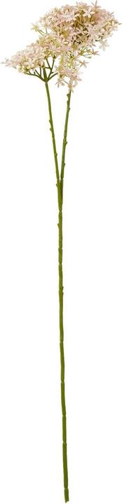 Immagine prodotto Hill Interiors Ortensia Fiore Artificiale (71 cm)