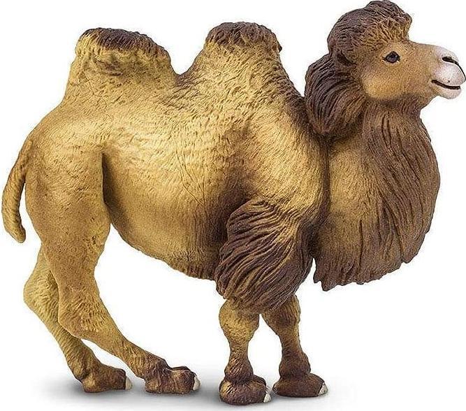 Produktbild Safari Kamel