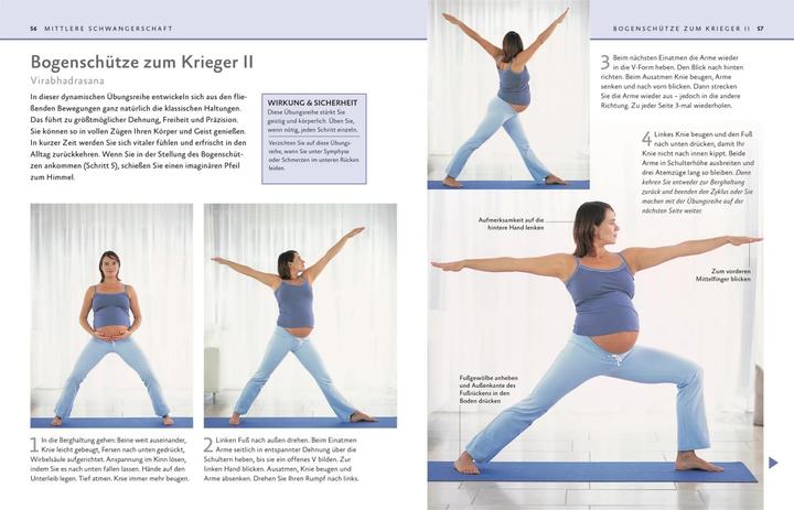 Image du produit Yoga in der Schwangerschaft (Allemand, Fran¢oise Barbira Barbira Freedman, 2015)