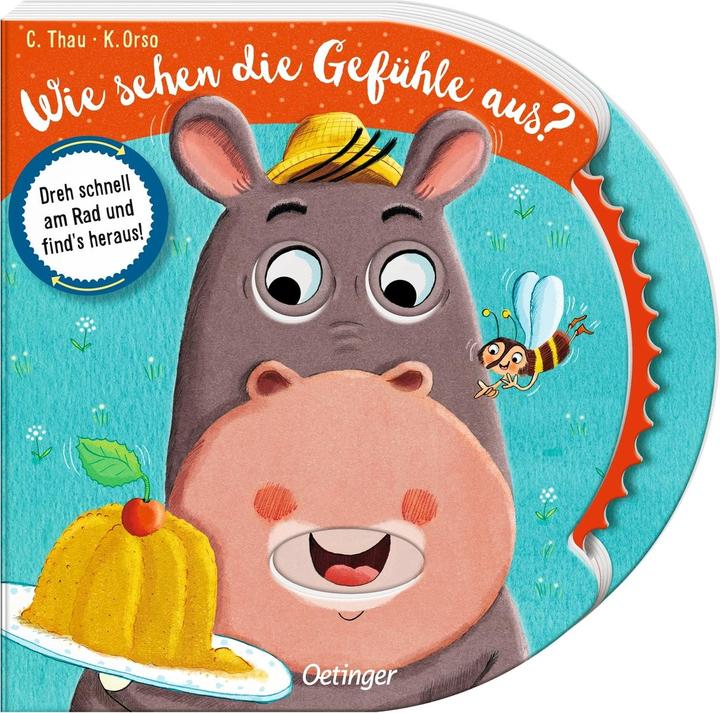 Actual product image Wie sehen die Gefühle aus? (German)