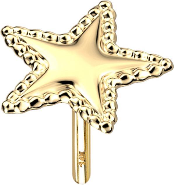 Produktbild Star Piercing Threadless 14k gold Stern mit Kugelrand (14k Gold, ohne Messing)