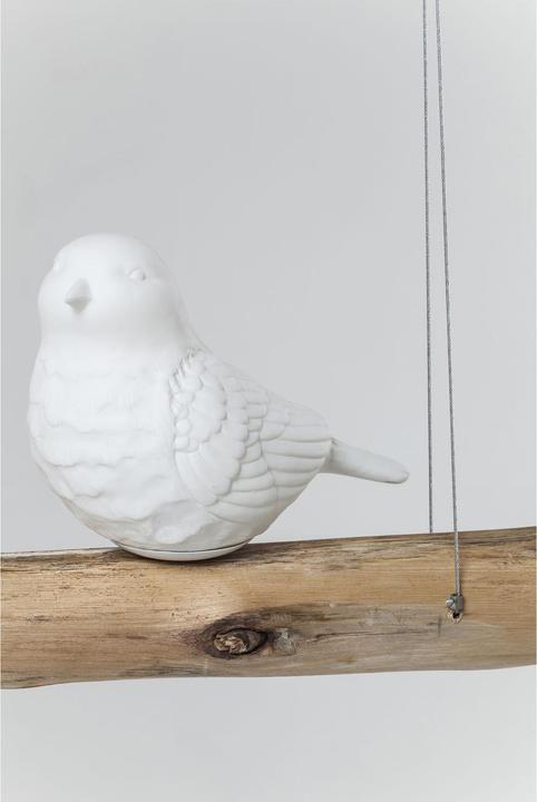 Image du produit Kare Design Oiseaux à manger (E14)