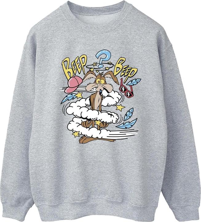 Looney Tunes Coyote Daze Sweatshirt (S)