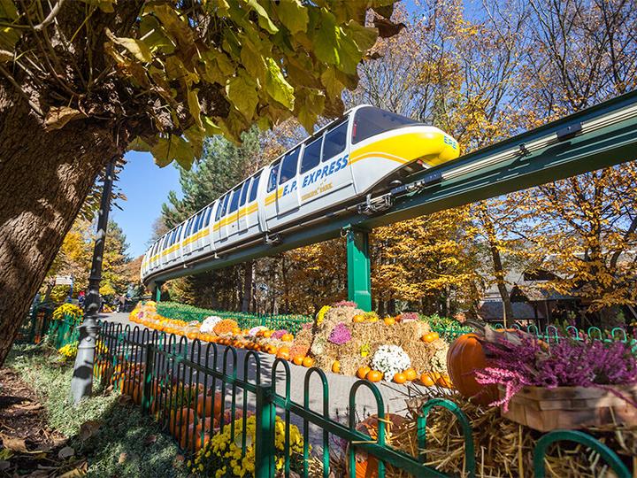 Immagine prodotto Smartbox 2-Tagesticket für den Europa-Park für 1 Erwachsenen (1 pers.)