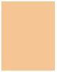 Actual product image Rimmel London Match Perfection SPF20 (102 Light Nude)