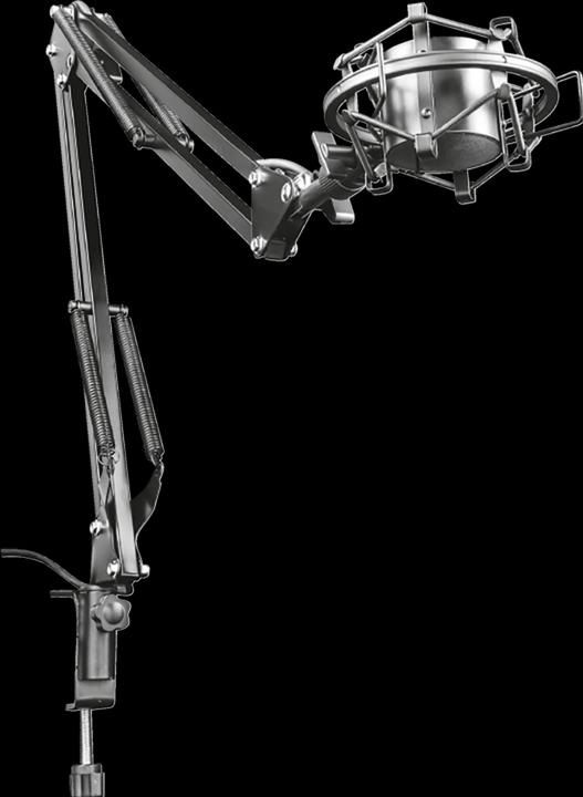 Actual product image Trust GXT 253 Emita Streaming microphone boom