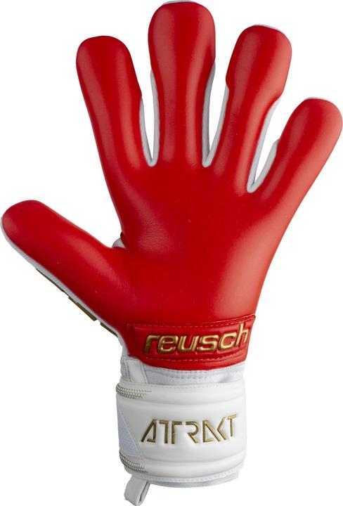 Immagine prodotto Reusch Guanto da portiere Attrakt Freegel Silver (8)