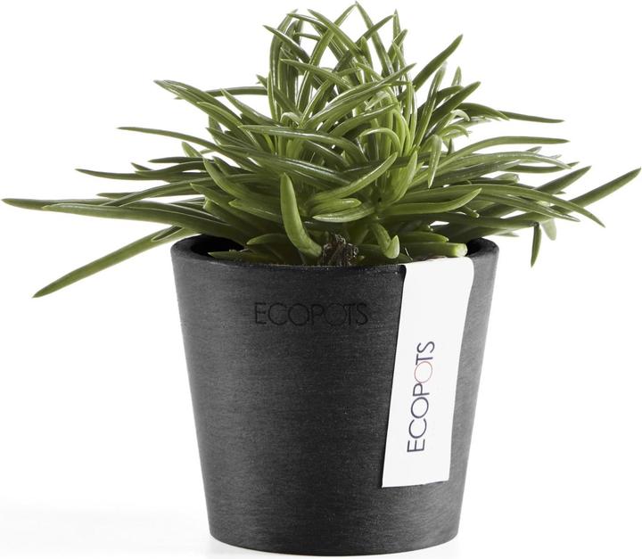 Image du produit Ecopots Amsterdam Mini (8 cm)
