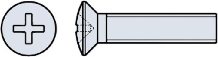 Actual product image Werkstarck Metal screws raised countersunk head DIN 966 (100 Screws per piece)