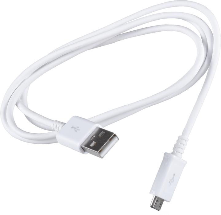 Samsung ECB-DU4AWE (1 m, USB 2.0)