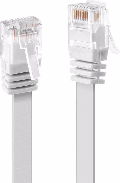 Image du produit Lindy Câble réseau (UTP, CAT6, 0.30 m)