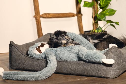 Actual product image Beeztees Zia (Dog)