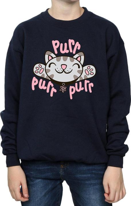 Produktbild Big Bang Theory Soft Kitty Purr Sweatshirt Jungen (140, 146)