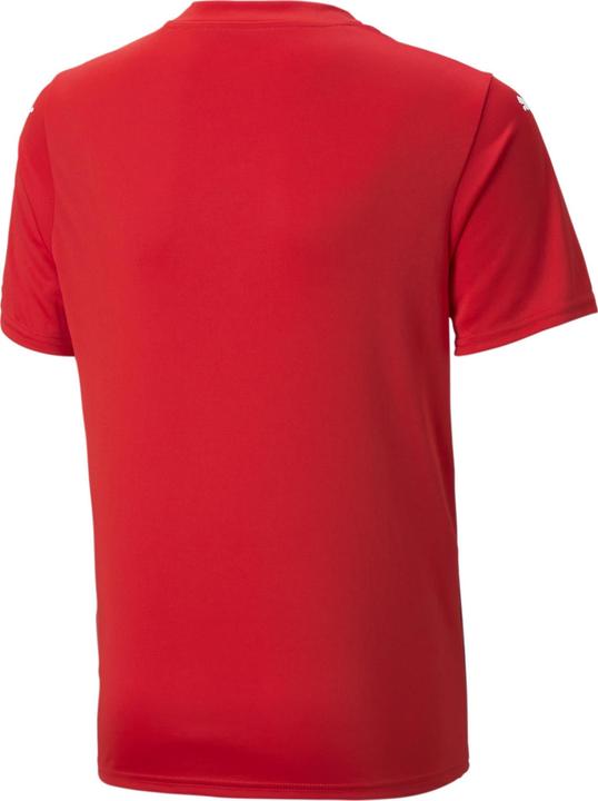 Image du produit Puma teamULTIMATE Jersey Jr (116)