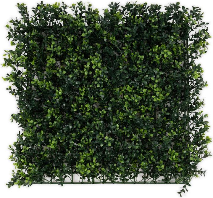 Produktbild Karat Boxwood Pflanzenwand (50 cm)