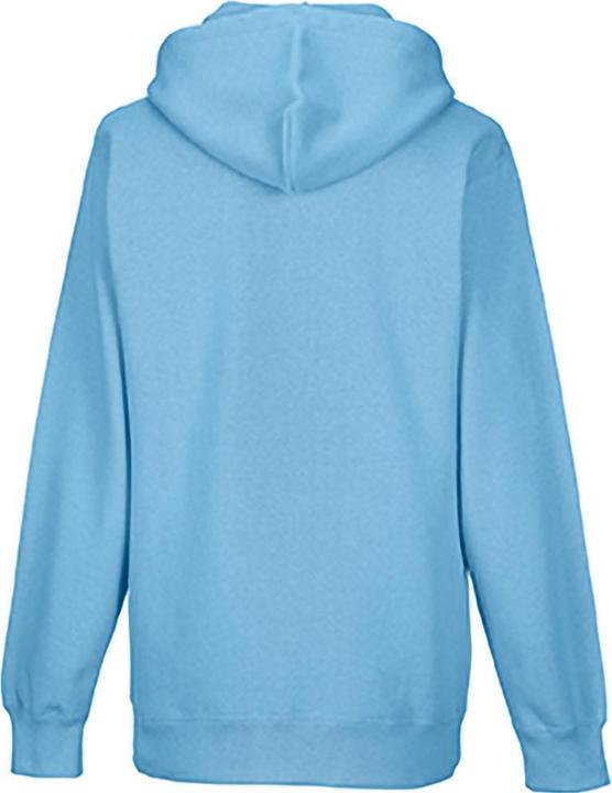 Actual product image Russell Colour hooded pullover Hooded sweatshirt Hoodie (L)