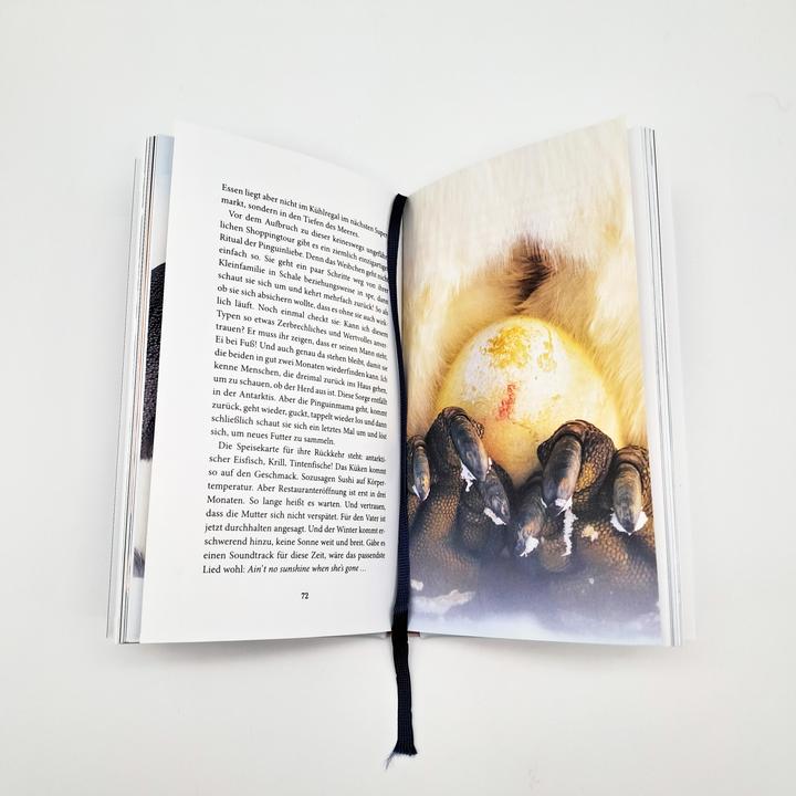 Produktbild Der Pinguin, der fliegen lernte (Deutsch, Eckart von Hirschhausen, 2025)
