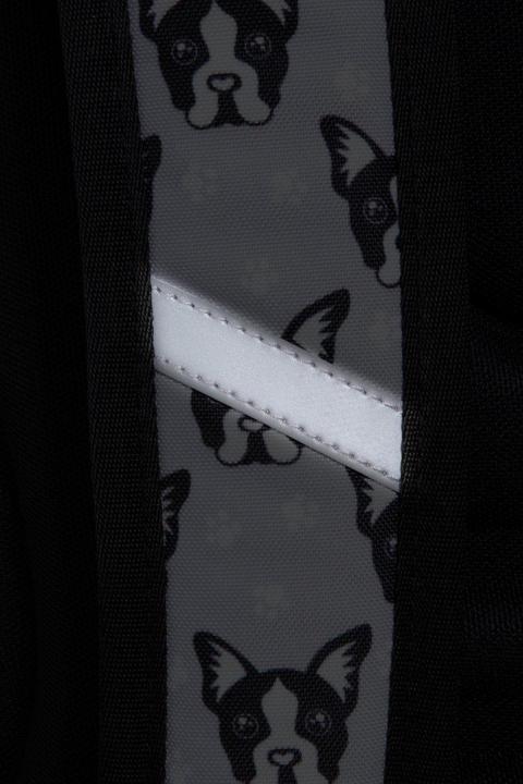 Actual product image Patio School backpack CoolPack Joy S French Bulldogs (21 l)