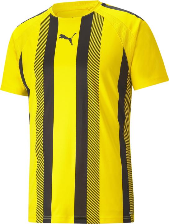 Actual product image Puma teamLIGA Striped Jersey-704920 (XXL)