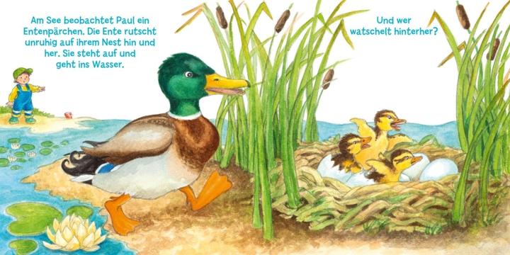 Produktbild Mein erstes Hör mal (Soundbuch ab 1 Jahr): Die Tierkinder (Deutsch, Kyrima Trapp, 2021)