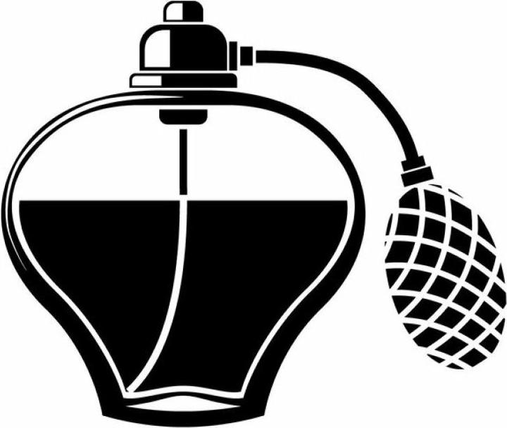 Image du produit Trussardi Le son de Donna (Eau de parfum, 100 ml)