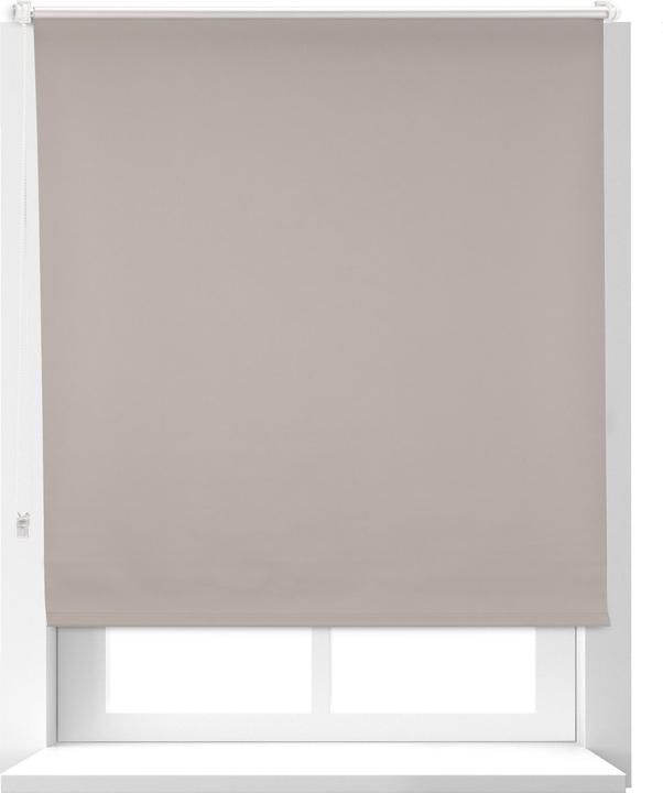 Image du produit Relaxdays Store Enrouleur occultant (110 x 4,5 x 160 cm)