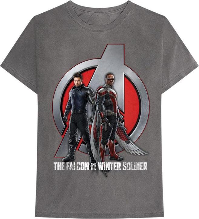 Marvel Falcon & Winter Soldier A Logo
