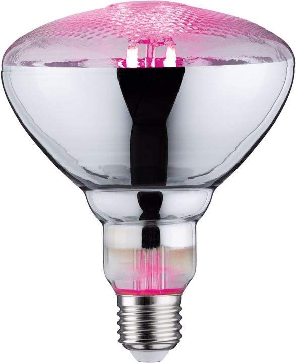 Image du produit Paulmann Lampe pour plantes (LED, 230 V)